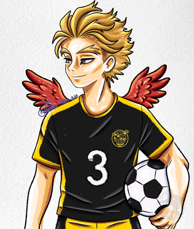 Hawks by Nopheus